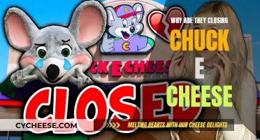 Chuck E. Cheese's Closure: What Went Wrong?