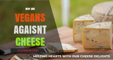 Why Vegans Avoid Cheese: Ethical, Environmental, and Health Concerns Explained