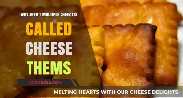 Why 'Cheez-Its' Stays Singular: The Snack Name Mystery Unpacked