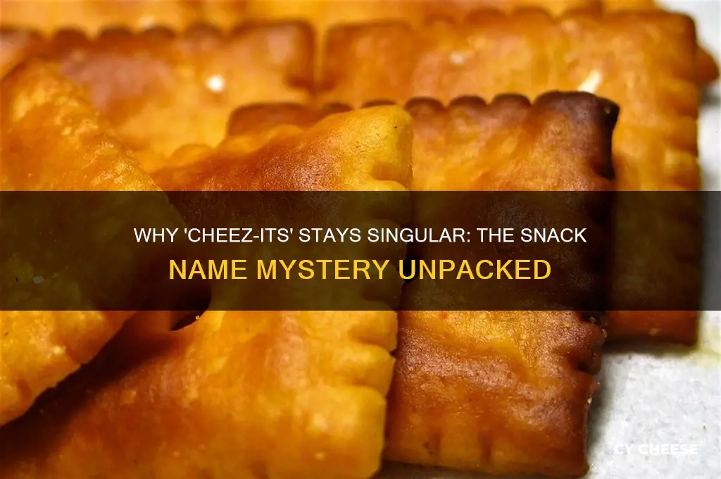 why aren t multiple cheez its called cheese thems