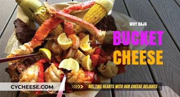 Why Baja Bucket Cheese is a Must-Try Snack Sensation