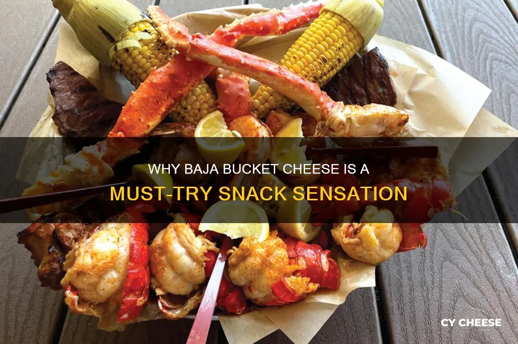 why baja bucket cheese