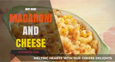 Macaroni and Cheese: Baking for the Best Taste