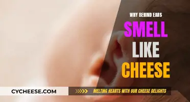 Behind the Ear: Why Does it Smell Cheesy?