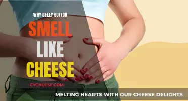 Belly Button Odor: Why Does It Smell Like Cheese?