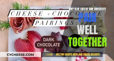 The Sweet and Savory Symphony of Blue Cheese and Chocolate