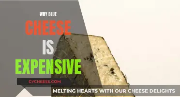 Blue Cheese: Why It's So Expensive