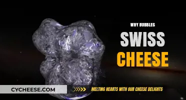 Swiss Cheese Bubbles: Why the Holes?