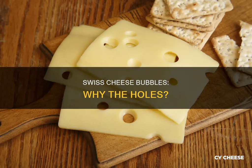 why bubbles swiss cheese