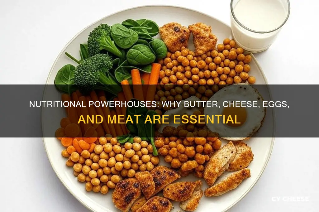 why butter cheese and eggs meat belong in the diet