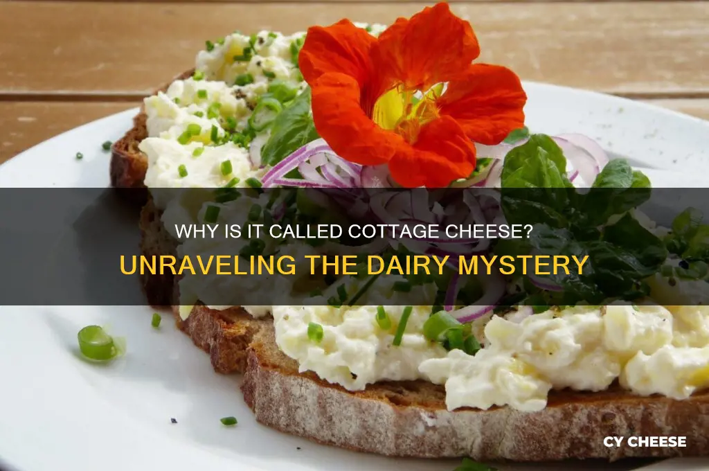 why called cottage cheese