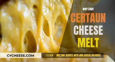 Cheese Conundrum: Why Won't It Melt?