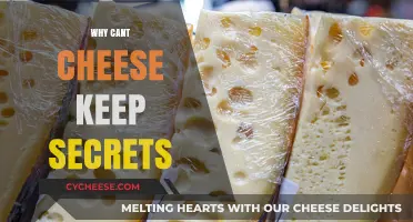 Why Cheese Can't Keep Secrets: The Surprising Truth Behind Its Holes
