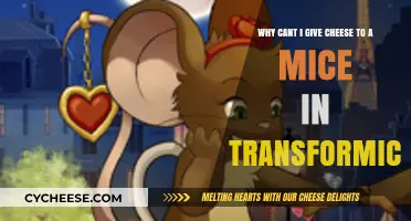 Transformice Rules: Why Cheese Sharing with Mice is Strictly Forbidden