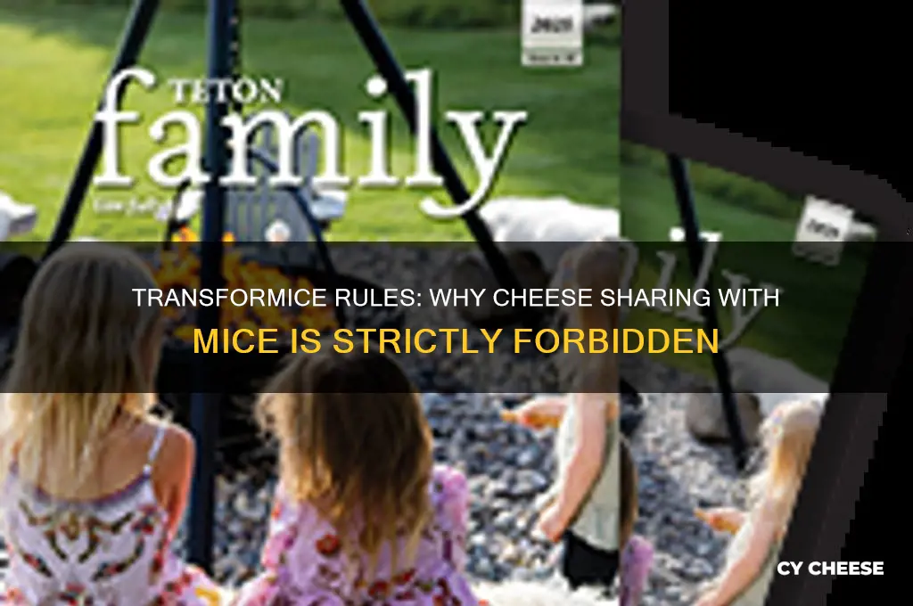 why cant i give cheese to a mice in transformice