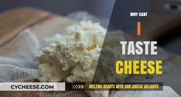 Why Can't I Taste Cheese? Exploring the Mystery of Lost Flavor