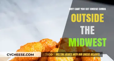 The Midwest's Best-Kept Secret: Cheese Curds