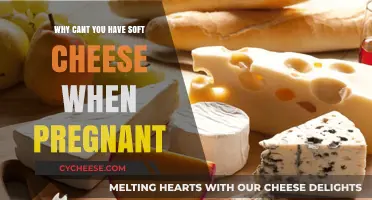 Pregnancy and Soft Cheese: Understanding the Risks and Why It's Off-Limits