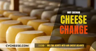 The Surprising Science Behind Cheddar's Color Transformation