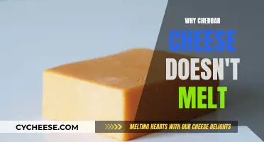 The Science Behind Cheddar's Unmeltable Nature: A Tasty Mystery