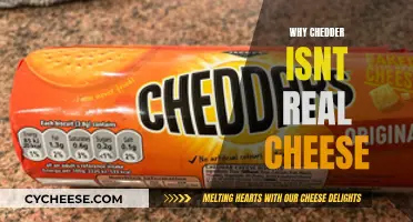 Cheddar's Fake Cheese: Unveiling the Truth Behind the Yellow Block