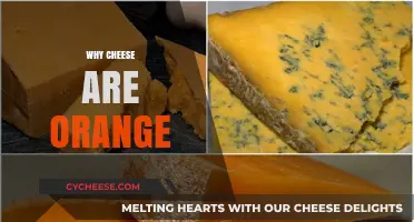 Why Cheese is Orange: Uncovering the Surprising Color Secrets