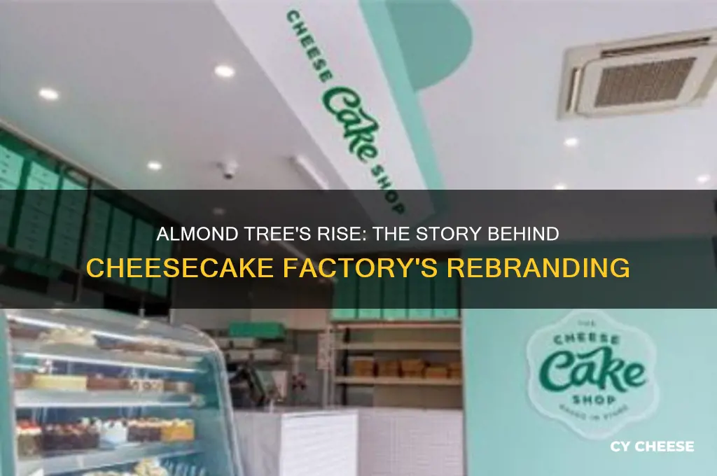 why cheese cake factory changes to almond tree