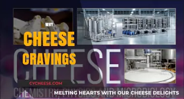 Unraveling the Science Behind Irresistible Cheese Cravings: Why We Love It