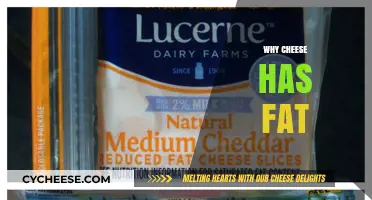 Understanding Cheese Fat: Why It's Essential and Naturally Occurring