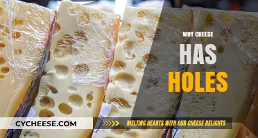 The Surprising Science Behind Why Cheese Develops Holes