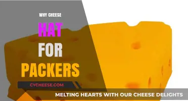 Why Packers Fans Wear Cheeseheads: The Iconic Tradition Explained