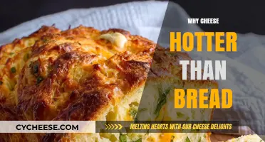 Why Cheese Burns Your Mouth But Bread Doesn't: The Science Explained