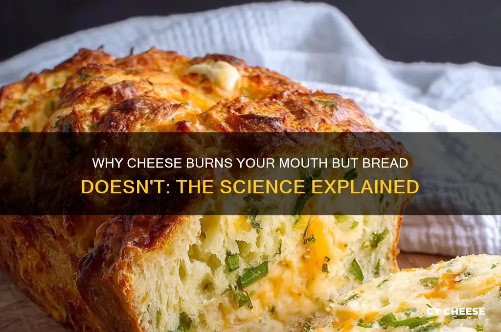 why cheese hotter than bread