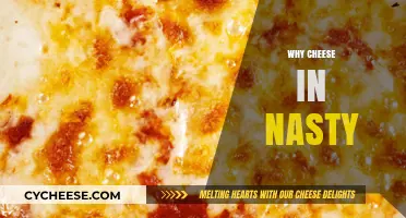 Why Cheese Can Be Unappetizing: Exploring Its Off-Putting Qualities