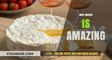 Cheese: The Irresistible, Versatile, and Timeless Culinary Delight Explained