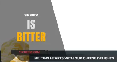 Why Cheese Turns Bitter: Uncovering the Surprising Causes and Solutions