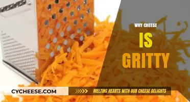 Why Cheese Can Be Gritty: Uncovering the Surprising Textural Truth