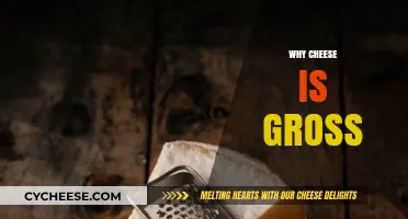 Why Cheese is Gross: Unraveling the Unappetizing Truth Behind Dairy's Darling