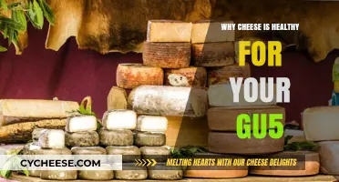 Cheese: A Healthy, Delicious Treat for Your Gut