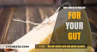 Cheese: A Gut-Healthy Superfood