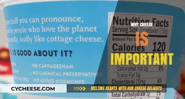 Why Cheese is Essential: A Nutritional and Cultural Staple