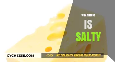 Why Cheese Tastes Salty: Uncovering the Science Behind Its Flavor