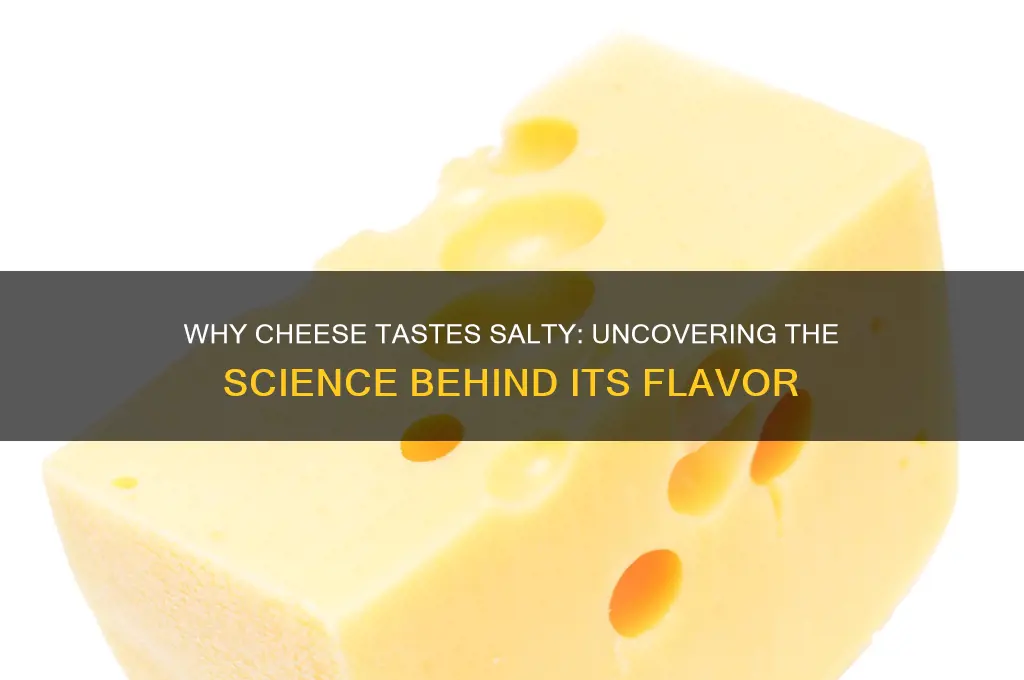 why cheese is salty