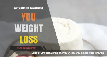Cheese and Weight Loss: Surprising Health Benefits for Your Diet
