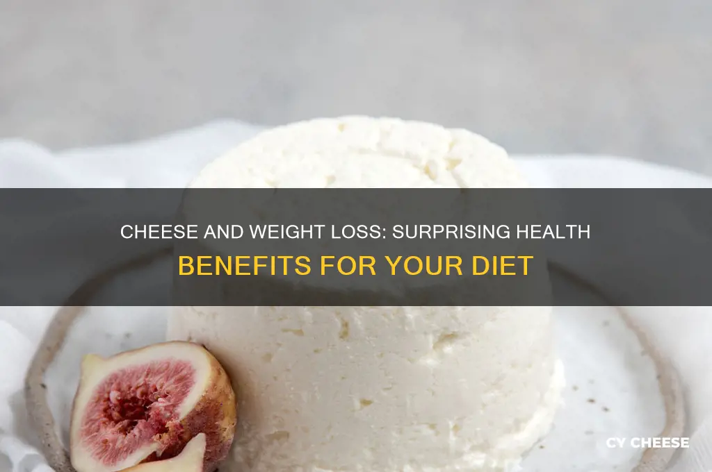 why cheese is so good for you weight loss