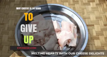 The Irresistible Allure: Why Cheese Holds Us Captive