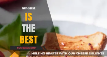 Cheese: The Ultimate Superfood