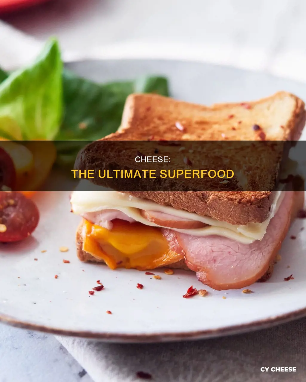 why cheese is the best