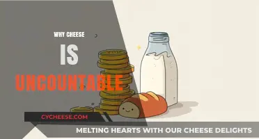 Why Cheese Defies Counting: Exploring Its Uncountable Nature
