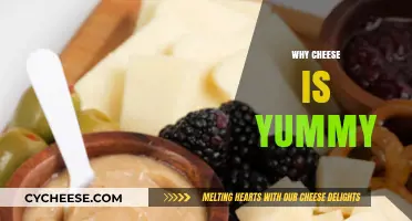 The Irresistible Charm: Why Cheese is a Delicious Delight